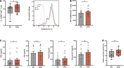 Ketone Bodies Improve Human CD8+ Cytotoxic T-Cell Immune Response During COVID-19 Infection